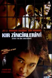 Kır Zincirlerini