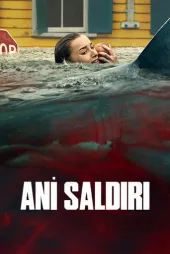 Ani Saldırı